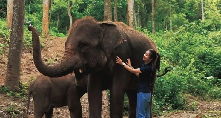 Xishuangbanna: Đây là thiên đường của các loài thực vật nhiệt đới, vương quốc của các loài động vật hoang dã, và là nơi tọa lạc của những ngôi chùa Phật giáo Nguyên thủy của Trung Quốc.
