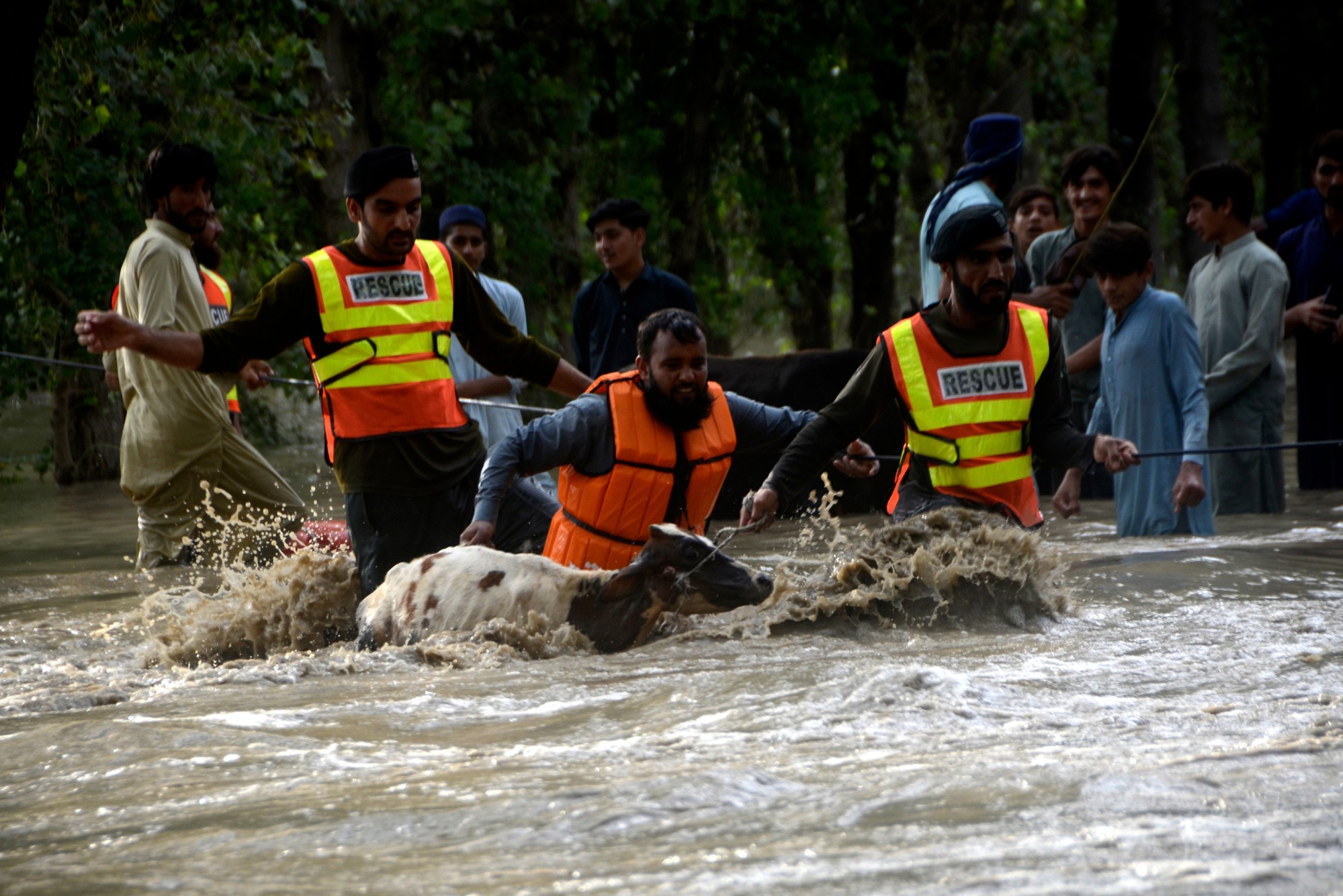 Lực lượng cứu hộ trong lũ lụt ở Pakistan (ảnh: Aljazeera)