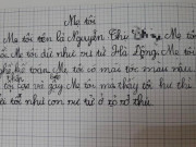 Giáo dục - du học - Bài văn bóc phốt khiến mẹ &quot;giận tím mặt&quot;: Mẹ tôi dữ như sư tử Hà Đông, tôi hư thì chửi như sư tử trong sở thú