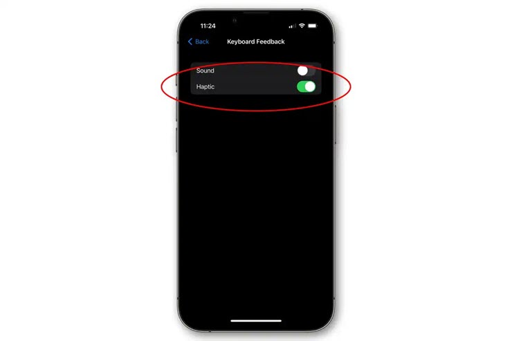 Bật tùy chọn Haptic để kích hoạt rung phản hồi cho bàn phím iPhone trên iOS 16.