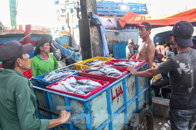 Nguyên nhân của việc tàu thuyền đánh bắt giảm là do giá nhiên liệu ở mức cao và một số tàu cá đã làm đủ hỗ trợ chi phí nhiên liệu trong năm 2022 nên không tham gia hoạt động khai thác. Ảnh: Trương Định