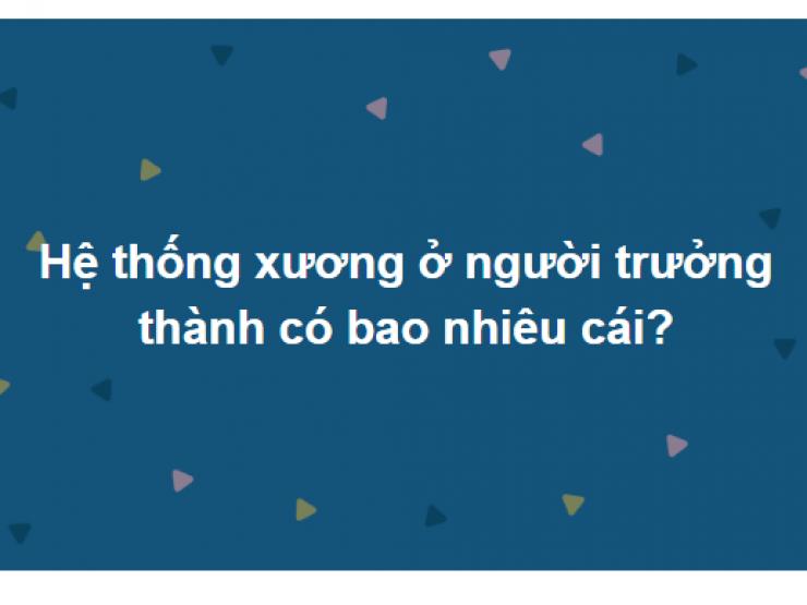 Cho các tế bào não tập gym cùng bộ câu hỏi hóc búa này