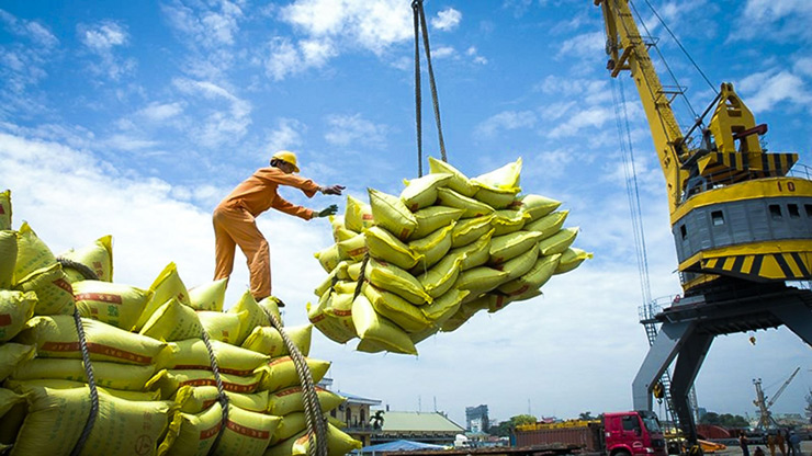 Năm 2021, kim ngạch xuất khẩu gạo của Việt Nam sang Nhật Bản chỉ đạt 48,7 triệu yen và chỉ chiếm khoảng 0,09% tổng kim ngạch nhập khẩu gạo của Nhật Bản.&nbsp;
