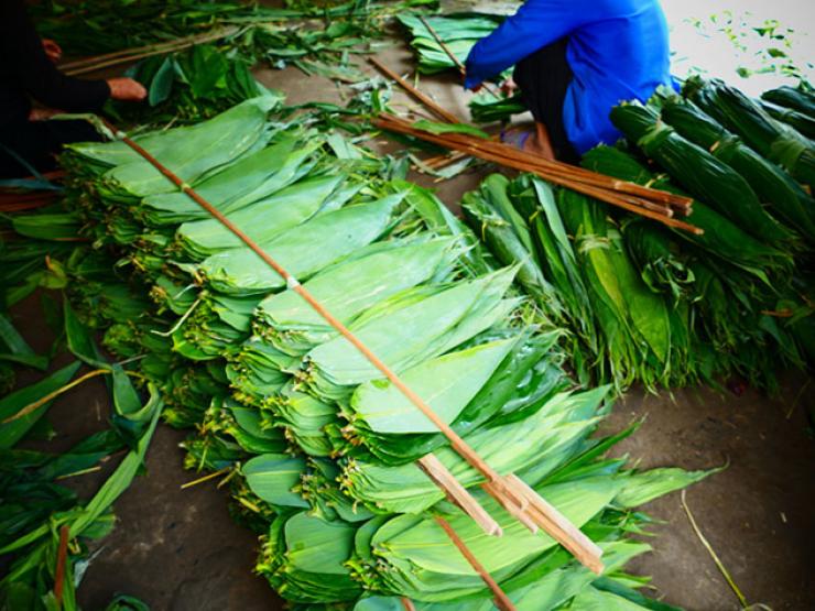 Từng rụng đầy sân vườn, 3 loại lá bỏ đi này giờ là 'mỏ vàng' dân hái bán thu tiền triệu