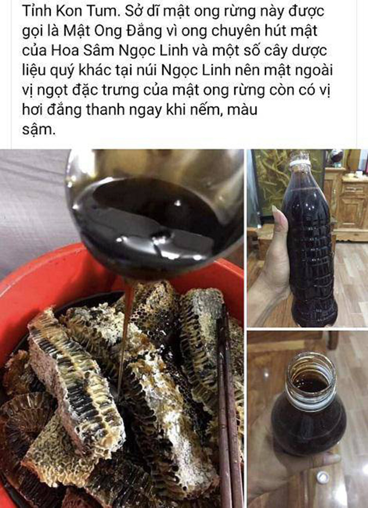 Trên thị trường, mật ong hoa sâm được rao bán với giá từ 1 triệu đến 1,6 triệu đồng/lít
