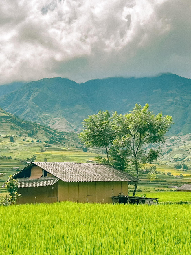 Lên Mù Cang Chải mùa vàng, hít hà hương lúa mới - 6