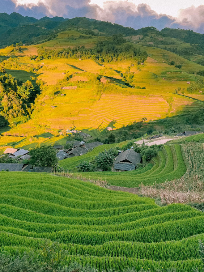 Lên Mù Cang Chải mùa vàng, hít hà hương lúa mới - 8