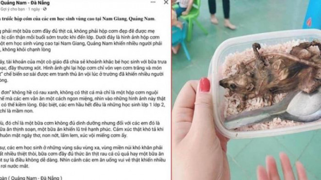 Hình ảnh lan truyền trên mạng xã hội cho rằng học sinh huyện Nam Giang (Quảng Nam) chỉ ăn cơm trắng với thịt chuột