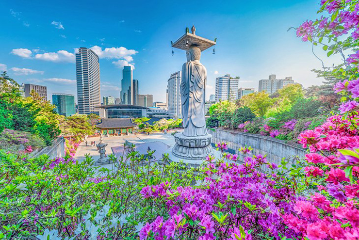 Chùa Bongeunsa: Bongeunsa là một trong nhiều ngôi chùa Phật giáo ở Seoul. Toàn bộ ngôi chùa là một khu phức hợp gồm nhiều tòa nhà và nằm ở ngay trung tâm của khu Gangnam sôi động. Tại đây, du khách có thể được trải nghiệm cuộc sống hằng ngày của một nhà sư trong vài giờ.
