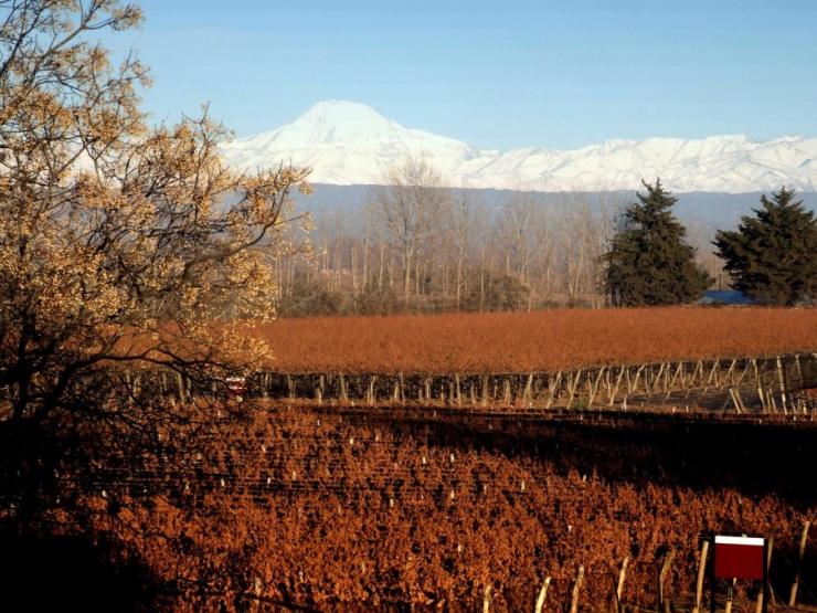 Đâu là trái tim của ngành công nghiệp rượu vang tại Argentina?