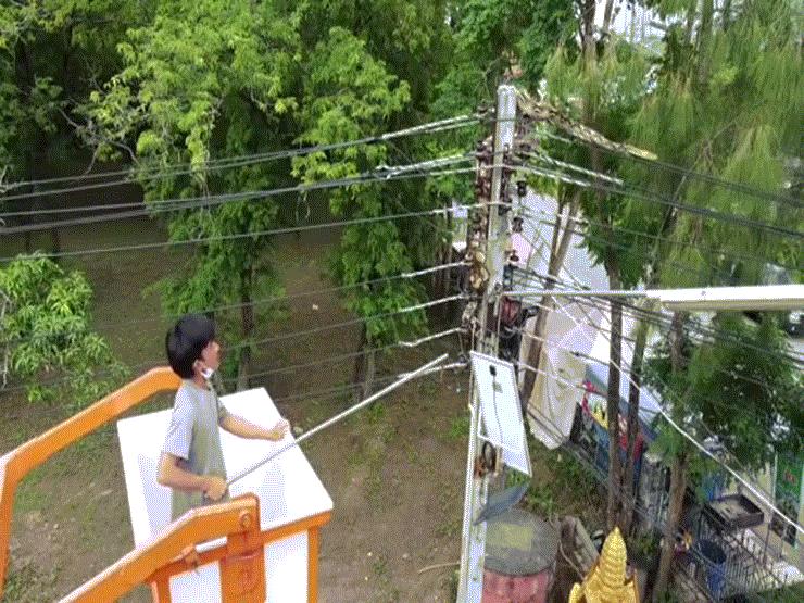 Video: Hốt hoảng chứng kiến trăn dài gần 5m nằm vắt vẻo trên cột điện
