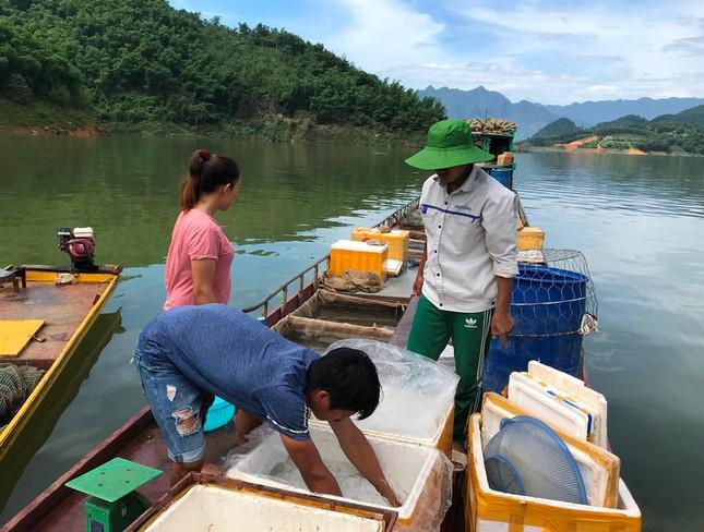 Cá ngần được ngư phủ đánh đến đâu, thương lái đến tận thuyền thu mua đến đó, không cần phải mang đi thiêu thụ