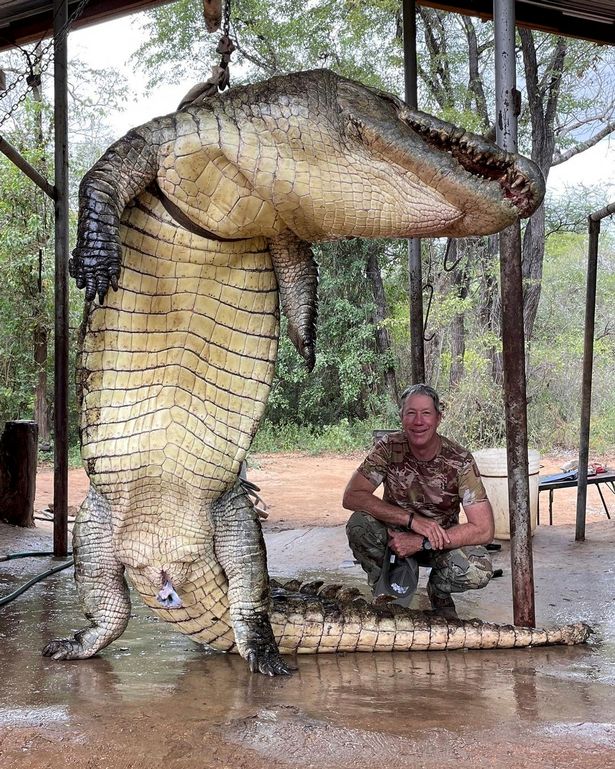 Con cá sấu khổng lồ nặng 450kg bị bắn chết ở Zimbabwe.