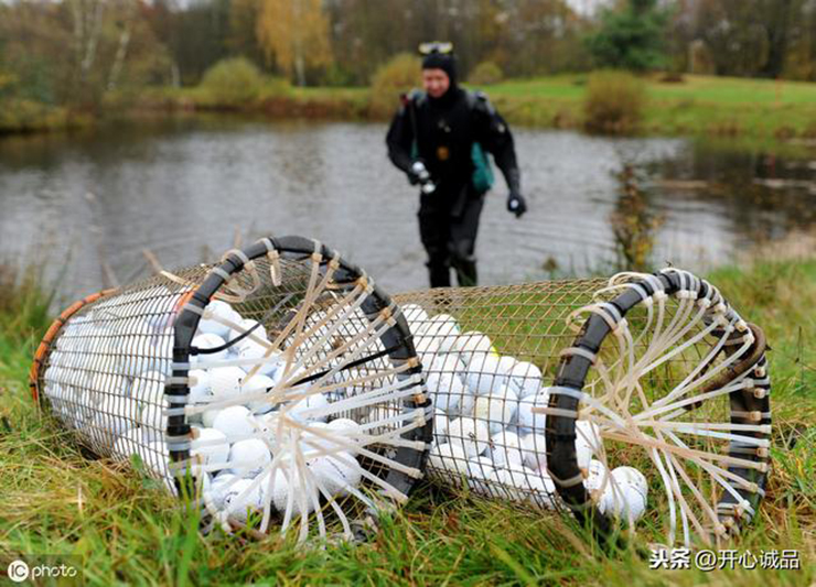 Thợ lặn nhặt bóng golf: Bất chấp nguy hiểm có cá sấu dưới ao, kiếm tiền triệu mỗi ngày - 5