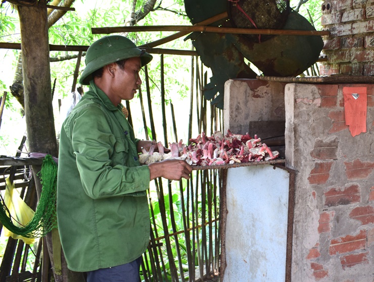 Một số khu vực tập trung nhiều nấm Chẹo gồm vùng thuộc Tây Nguyên và một số tỉnh phía Bắc như Cao Bằng, Bắc Kạn, Quảng Ninh, Lạng Sơn, Bắc Giang...
