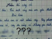 Giáo dục - du học - Bài văn tả cây của học sinh lớp 3: Cây kiếm ra tiền, khiến mẹ khổ sở, đọc tên cây mà nhiều người lớn sững sờ