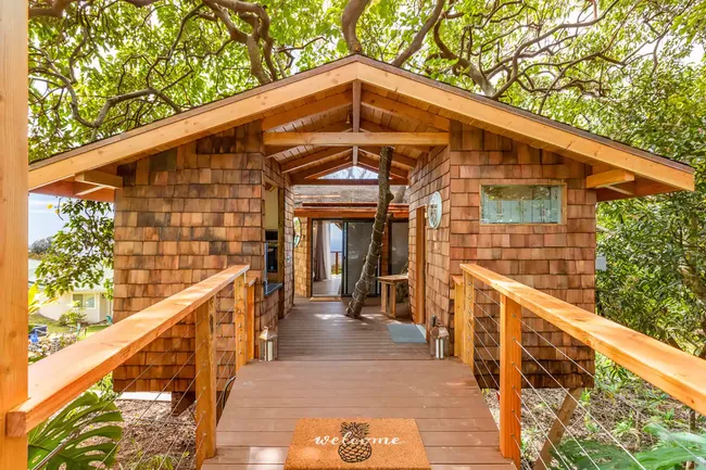 9. Kona Luxury Tree House, Hawaii: Du khách ở đây sẽ được thưởng ngoạn tầm nhìn ra bờ biển Hawaii và các tiện nghi 5 sao. Tọa lạc tại trang trại trong khu rừng mưa nhiệt đới, nơi này rộng hơn 46 m2 trên những cây ăn quả. Khu nghỉ dưỡng còn có phòng xông hơi khô bằng tia hồng ngoại, vòi sen ngoài trời và bồn tắm nước nóng, cùng đồ nội thất bằng gỗ xoài đẹp mắt, sàn phòng tắm khảm trai... Ngôi nhà trên cây thậm chí còn lọt top những nơi nên đến ở Hawaii vào năm 2021 trên AirBnb. Ảnh: AirBnb.