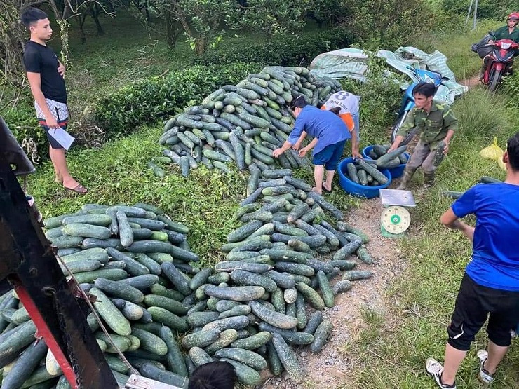 Vợ chồng chị Hải tiêu thụ bí xanh giúp bà con nông dân trên địa bàn với giá từ 2-,2,5&nbsp;nghìn đồng/kg.