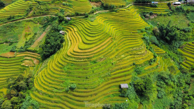 Ruộng bậc thang trùng trùng điệp điệp bao phủ khắp khung cảnh kéo dài từ sườn núi này qua sườn núi khác tạo nên một khung cảnh hùng vỹ, tuyệt đẹp.