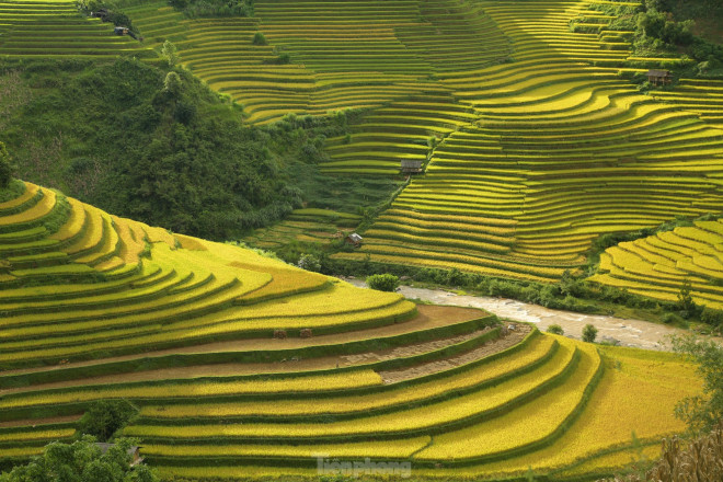 Cách Hà Nội chỉ khoảng 300km, nằm trên cung đường Tây Bắc tuyệt đẹp của tỉnh Yên Bái, Mù Cang Chải được coi là điểm “check in” không thể thiếu của giới trẻ, dân “phượt” và dân đam mê nhiếp ảnh.
