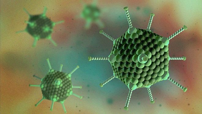 Adenovirus là “thủ phạm” gây ra nhiều bệnh lý và có khả năng lây lan nhanh.