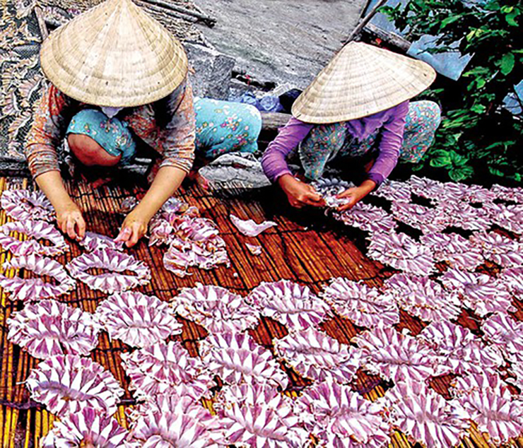 Theo khảo sát, cá đuối tươi có giá khoảng 100.000-200.000 đồng/kg.
