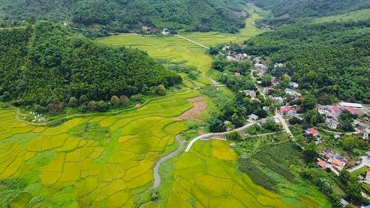 Nhà đầu tư tá hỏa khi phát hiện mình đang "ôm" đất đón đầu dự án... ma