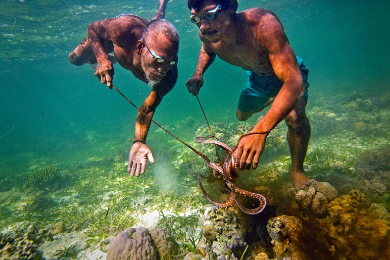 Người Bajau có thể nhịn thở 13 phút và lặn sâu khoảng 70 mét. Ảnh:&nbsp;National Geographic