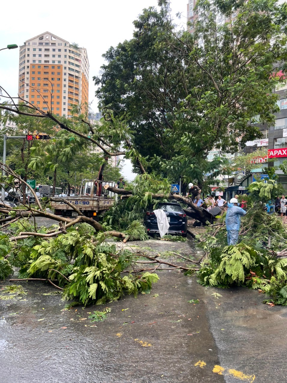 Lực lượng chức năng đang cắt bỏ cây xanh, đưa chiếc xe ra ngoài và khai thông tuyến đường