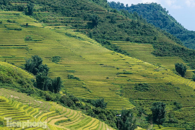 Ruộng bậc thang trùng trùng điệp điệp, tạo nên cảnh sắc hùng vĩ.