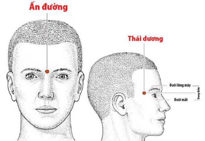 Bấm huyệt ấn đường, thái dương có tác dụng tăng cường trí nhớ.