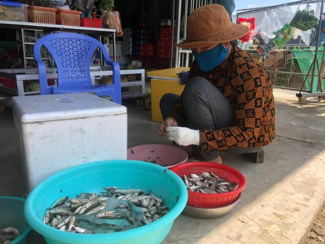 Người dân làm sạch cá linh bán giá cao hơn và để lâu hơn khi đem đi xa. Ảnh: HUỲNH DU