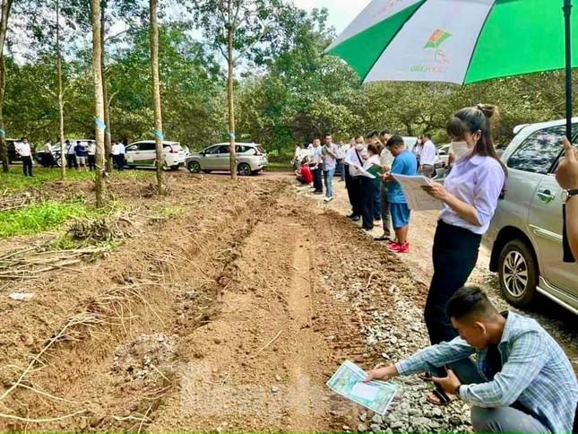 Lại xuất hiện &#39;chiêu trò&#39; gây sốt đất ở Bình Phước - 1