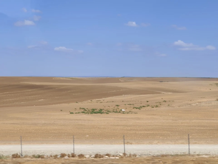 Nhà máy được đặt tại Kiryat Gat - một thành phố nhỏ ở nửa trên phía nam của Israel, nằm giữa những ngọn đồi thấp, trập trùng và hầu hết là trống trải.
