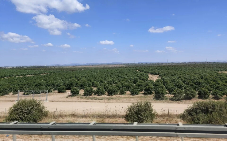 Thành phố cách Tel Aviv khoảng 60 km về phía nam, là nơi sinh sống của hơn 60.000 người.