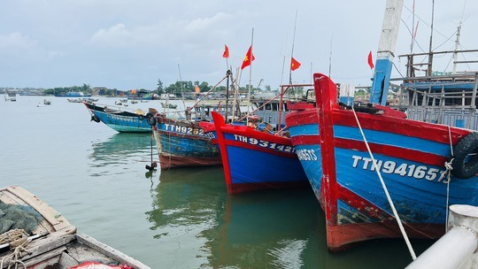 Các tàu neo đậu bên ngoài âu thuyền mới và sẽ di chuyển đến nơi khác tránh bão Noru