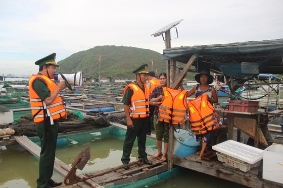 Đến trưa 26-9, có 350 tàu cá vào đăng ký neo đậu tránh, trú bão tại cảng cá Quy Nhơn