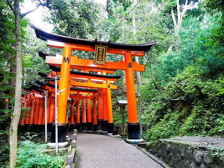 Cố đô Kyoto Nhật Bản gây “thương nhớ” với loạt địa điểm cổ đẹp như thiên đường - 2