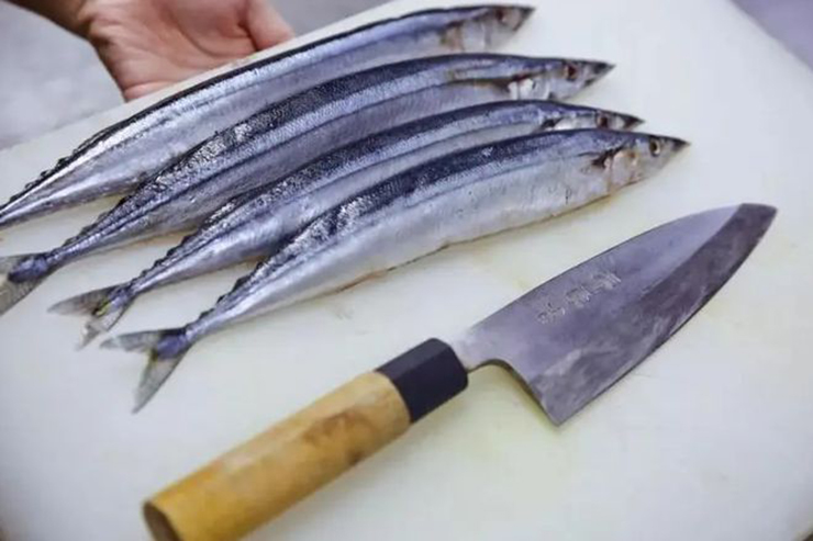 Loại cá được người Nhật quý như vàng cho não 
