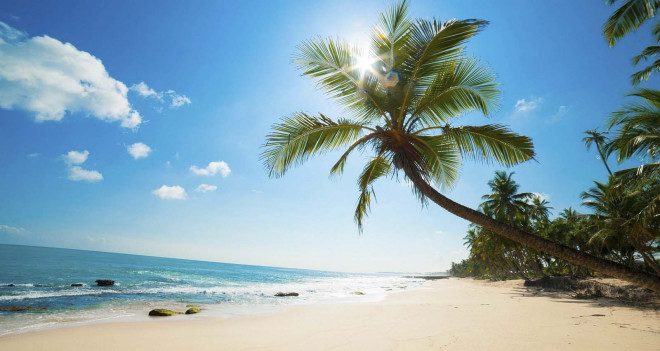 TP.HCM là điểm đến hoàn hảo bậc nhất trong hành trình khám phá Việt Nam - 6