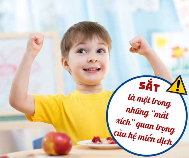 Bổ sung sắt mắc xich quan trọng của hệ miễn dịch