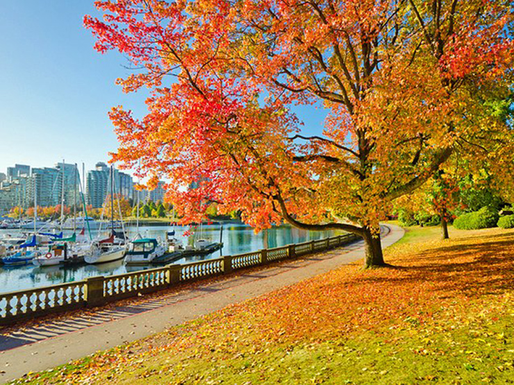 Canada hớp hồn du khách với loạt điểm đến đẹp như mơ - 9