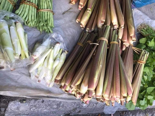 Niễng có thể bán theo cân với giá 50.000 đồng/kg.