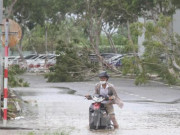 Tin tức trong ngày - Hàng quán ven biển Đà Nẵng ngổn ngang, bão 'lột' gạch lát kè bờ sông Hàn