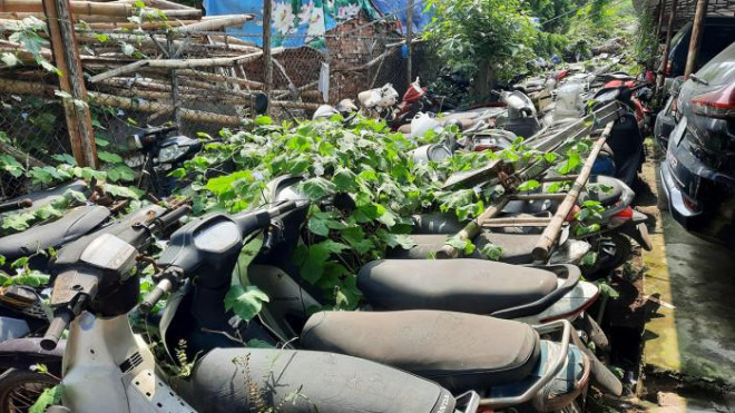 Hàng nghìn chiếc xe máy vi phạm chất đống và bị cây cỏ bao phủ tại bãi trông giữ xe Hà Cầu - Thăng Long