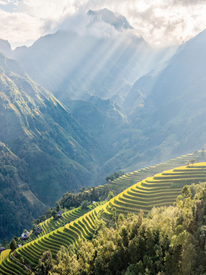 Ảnh: Shutterstock.