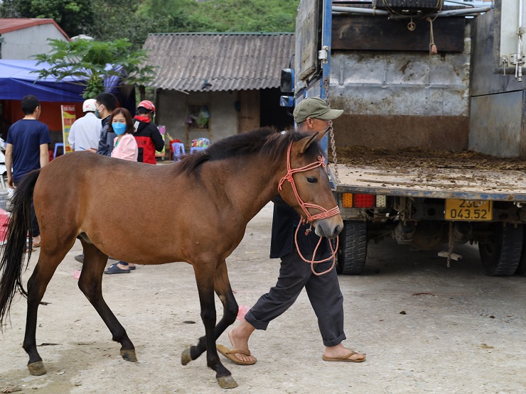 Tất cả góp phần tạo nên khúc hoà tấu đầy thanh sắc của bản nhạc giai điệu vùng cao.
