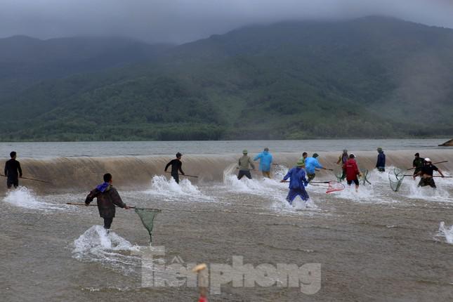 Đập tràn, hàng chục người lao xuống dòng nước chảy xiết để bắt cá - 4