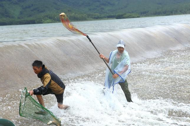 Đập tràn, hàng chục người lao xuống dòng nước chảy xiết để bắt cá - 5