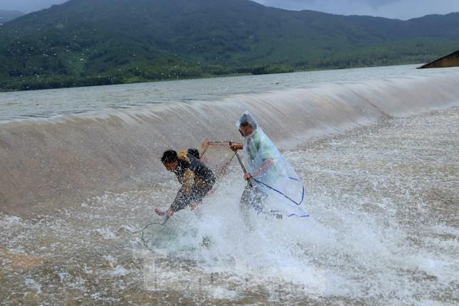 Đập tràn, hàng chục người lao xuống dòng nước chảy xiết để bắt cá - 16